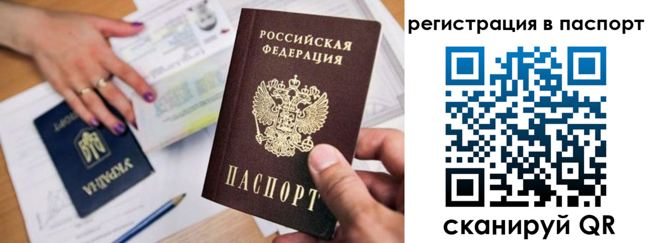 прописка гарантия в Курске