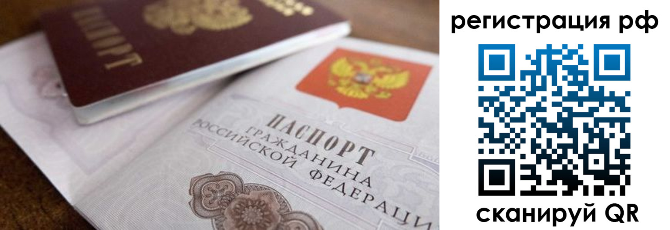 временная регистрация поиск в Курске